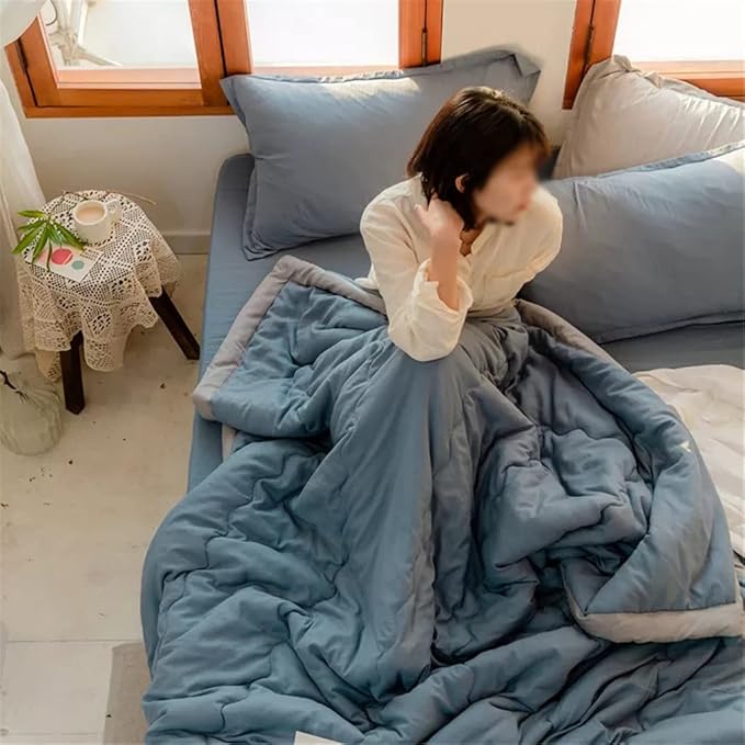 Lightweight Reversible Comforter | All-Season Bedding | Soft Microfiber Quilt
